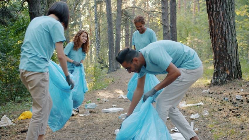 cleaning campaign