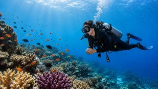 scuba diving | scuba diving right time | scuba diving tips for first time