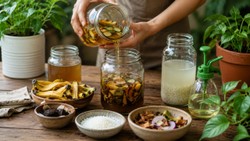 पौधों की देखभाल के लिए घर पर ऐसे तैयार करें लिक्विड फर्टिलाइजर, काम आएंगी ये 4 चीजें