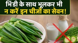 भिंडी के साथ किन चीजों का सेवन बिगाड़ सकता है आपका पाचन? आयुर्वेद एक्सपर्ट से जानिए इसके नुकसान