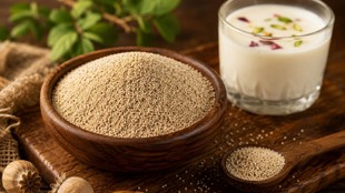 Poppy seeds scientific benefits research, Poppy seeds for insomnia sleep study,poppy seeds benefits, khaskhas ke fayde, benefits of eating poppy seeds for 21 days, poppy seeds for sleep and anxiety,