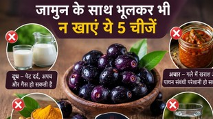 fruit to avoid with black plum, fruit to avoid jamun, jamun ke sath konse fal nhi khane chachiye, Jamun Ka Blood Sugar Par Asar, Jamun Khane Ka Sahi Samay, Jamun side effects,