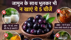 जामुन के साथ इन 5 चीजों का कॉम्बिनेशन सेहत पर पड़ सकता है भारी, एक्सपर्ट से जानिए गलत फूड पेयरिंग के साइड इफेक्ट्स