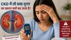पुराने किडनी रोग के मरीजों में ब्लड शुगर क्यों कम होता है? नेफ्रोलॉजिस्ट से जानिए किडनी और ब्लड शुगर के बीच क्या है संबंध