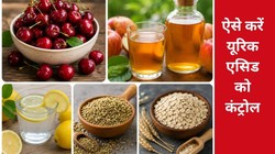 यूरिक एसिड का स्तर 7.0 mg/dL पार होने से बढ़ती है जोड़ों में सूजन? एक्सपर्ट से जानिए इसे कंट्रोल करने के 5 नेचुरल तरीके