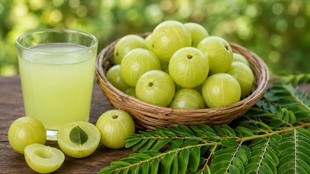 Benefits of eating amla daily, Amla for heart and immunity, रोज एक आंवला खाने के फायदे, Amla khane ke fayde jansatta,Amla benefits,Indian gooseberry health benefits,Amla for immunity,Amla nutrition