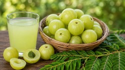 इम्यूनिटी से लेकर दिल की सेहत तक; पूरे साल रोज़ सिर्फ 1 आंवला खाने से हो सकते हैं ये 5 फायदे, एक्सपर्ट से जानिए कैसे