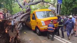 mumbai accident| mumbai news| road accident
