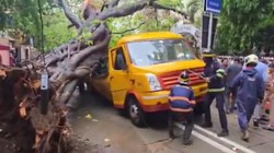 मुंबई के चेंबूर में बड़ा हादसा: स्कूल बस पर गिरा पेड़, एक छात्र की मौत- कई घायल