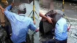 Mumbai Rains: जलभराव का जायजा लेने पहुंची थी मेयर, खुली मैनहोल में गिरा BMC अधिकारी, वीडियो वायरल