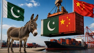 pak china| pak china export| donkey meat