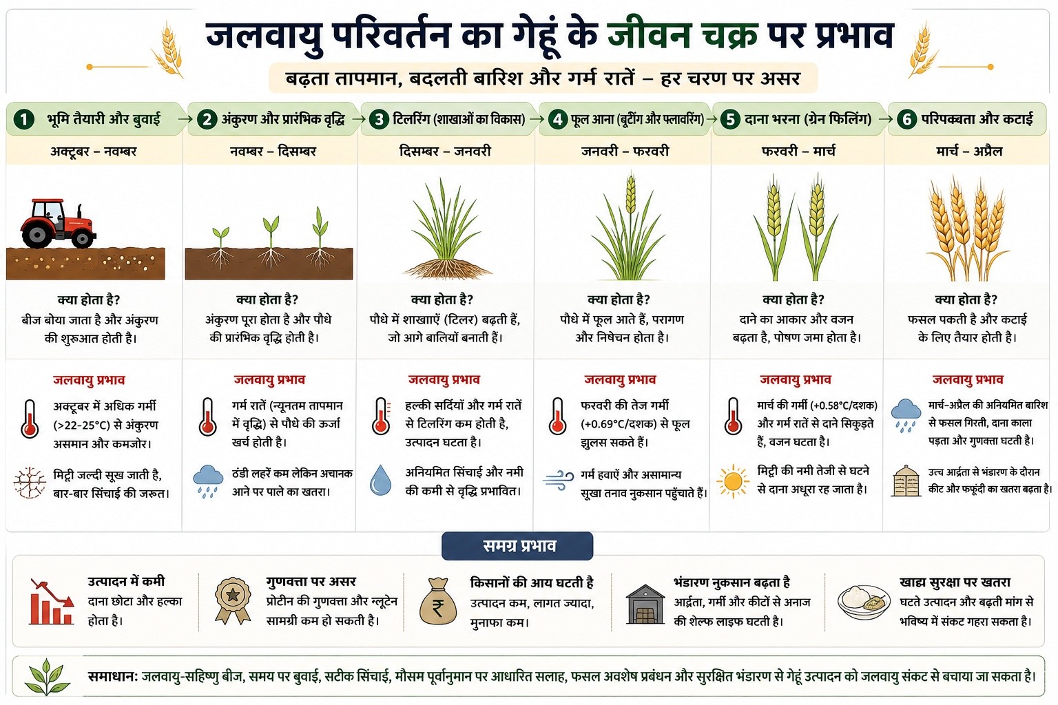 Wheat crisis in india