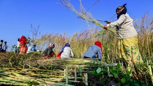 maharashtra Farmer, loan waiver scheme