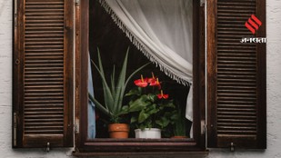 5 Indoor Plants That Naturally Freshen the Air and Fill Your Home With Fragrance