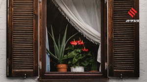 घर को प्राकृतिक खुशबू से महकाएंगे ये 5 सुगंधित पौधे, एयर फ्रेशनर की नहीं पड़ेगी जरूरत