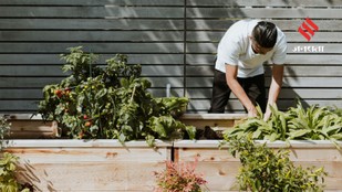 7 Home Garden Plants That Offer Continuous Harvests Throughout the Season