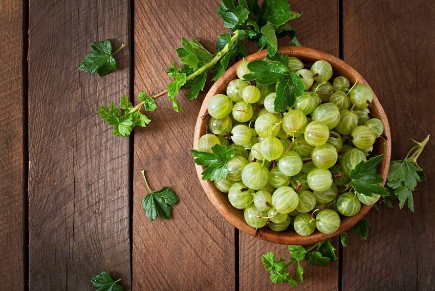 Amla production in India