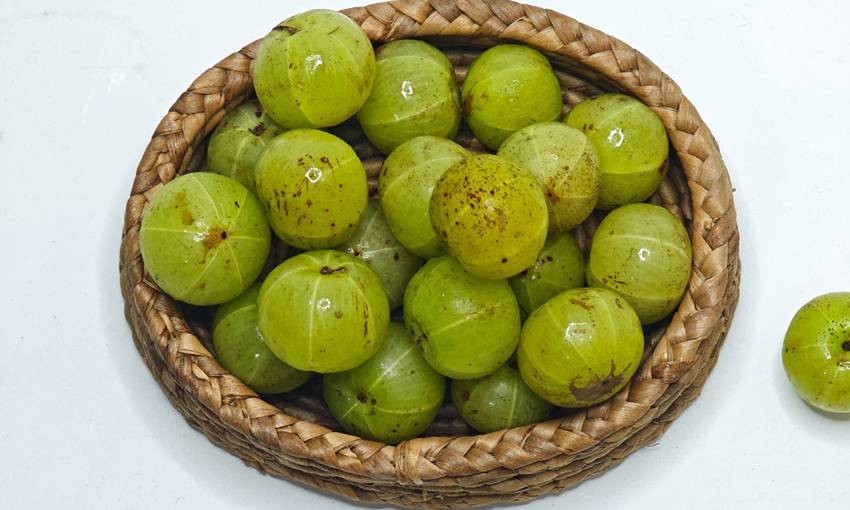 Indian gooseberry production