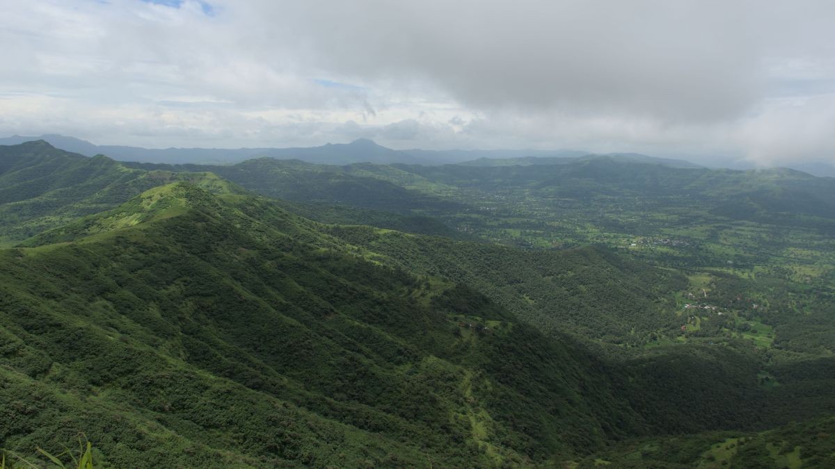 Andharban Grasslands in Pune