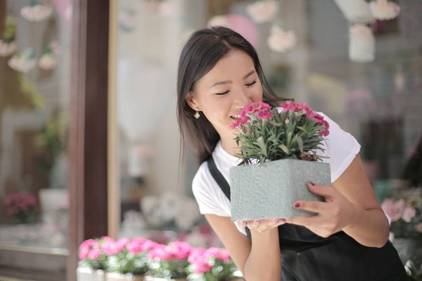 Aromatic Houseplants