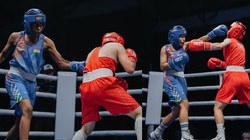 एशियाई अंडर-19 और अंडर-23 मुक्केबाजी चैंपियनशिप: 8 भारतीय फाइनल में, 7 ने झटके कांस्य पदक