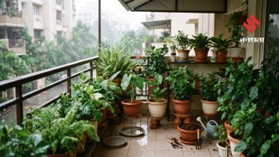 Avoid These 7 Common Monsoon Mistakes to Keep Your Plants Healthy