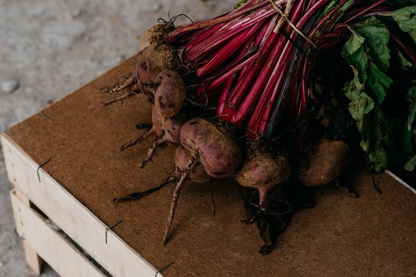 Beetroot