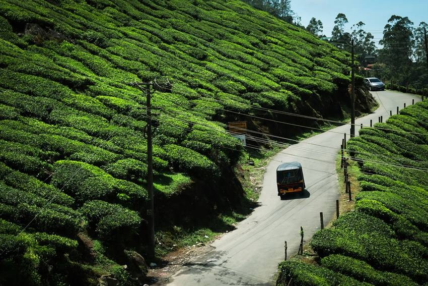 Best Hill Stations in Kerala