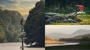 Best Monsoon Wildlife Destinations Every Nature Lover Should Visit