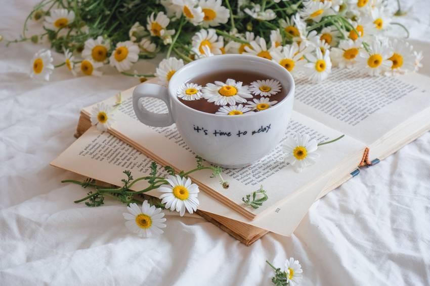 Chamomile tea
