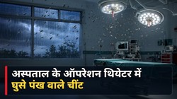 छत्तीसगढ़: सरकारी अस्पताल में घुसे पंख वाले चींटे, 10 दिन से दो ऑपरेशन थियेटर बंद