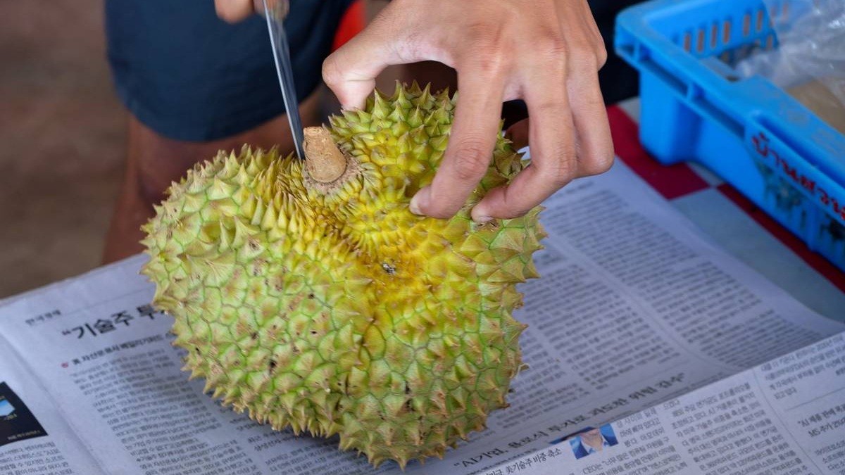 Durian