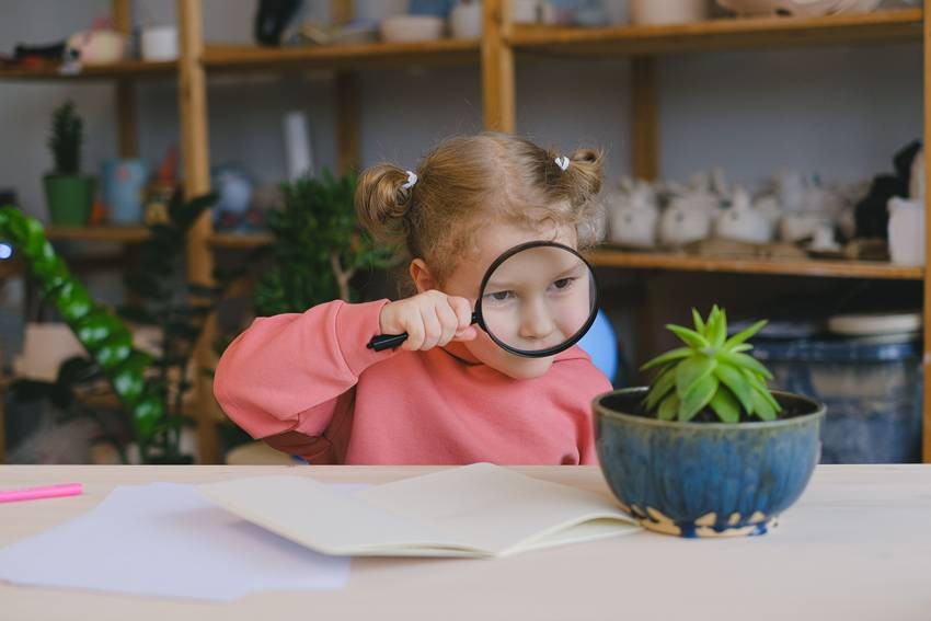Encouraging curiosity doesn't require expensive
