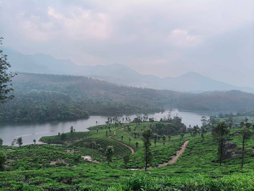 Eravikulam National Park