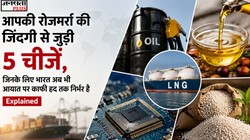 आपकी रोजमर्रा की जिंदगी से जुड़ी 5 चीजें, जिनके लिए भारत अब भी आयात पर काफी हद तक निर्भर है | Explained
