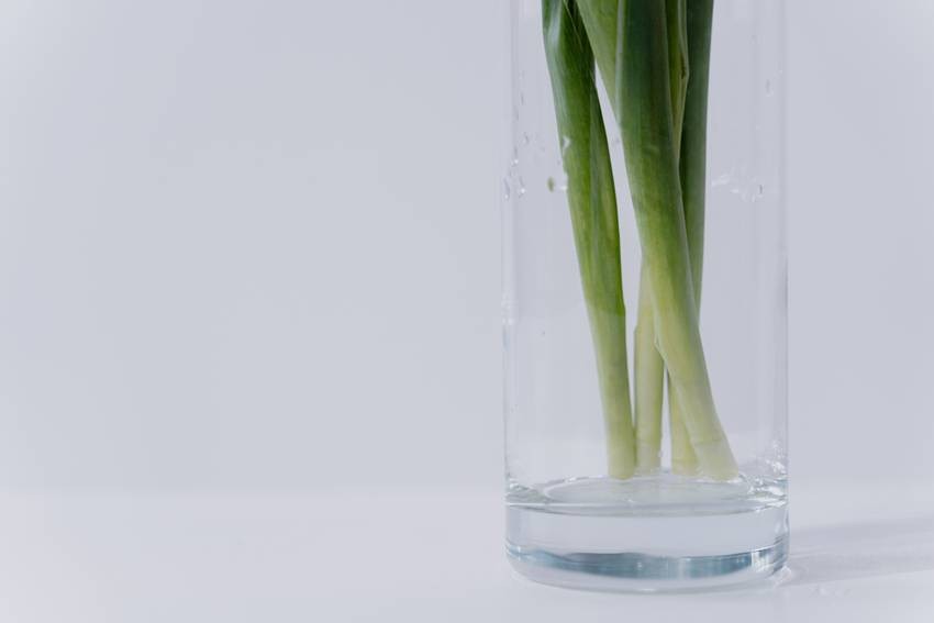Green Onions