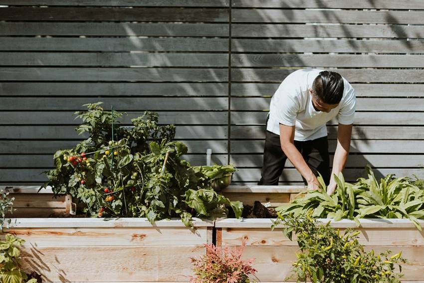Home gardening