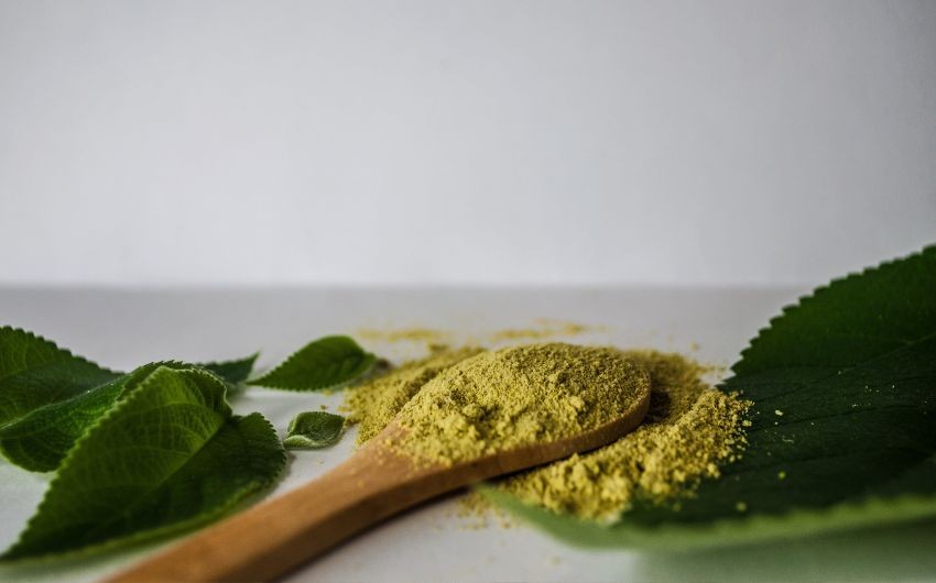 how to make moringa powder at home,