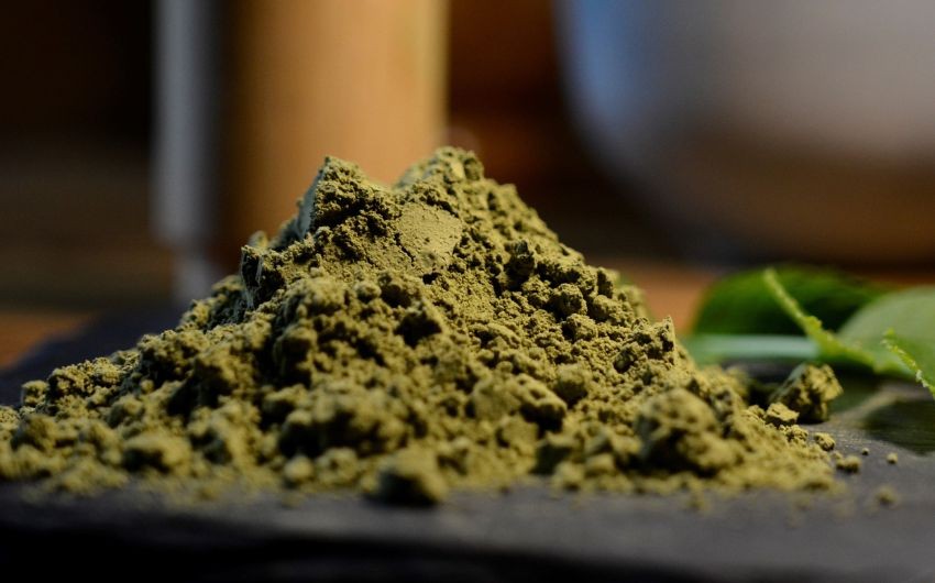 homemade moringa leaf powder