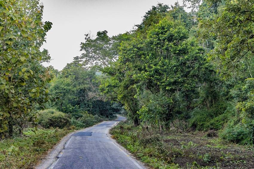 Jim Corbett National Park, Uttarakhand