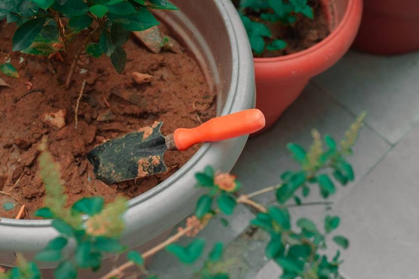 Letting Soil Turn to Mud