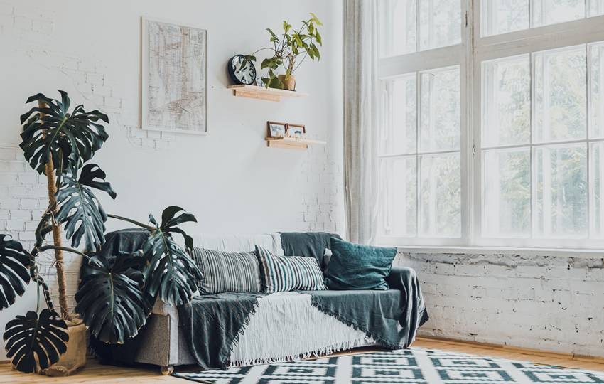 indoor plant decoration ideas