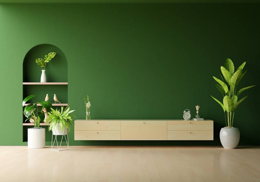 best indoor plants for living room