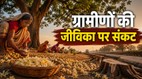 महुआ, महुआ के पेड़, महुआ संरक्षण, जलवायु परिवर्तन, ग्रामीण अर्थव्यवस्था, वन संरक्षण, जैव विविधता