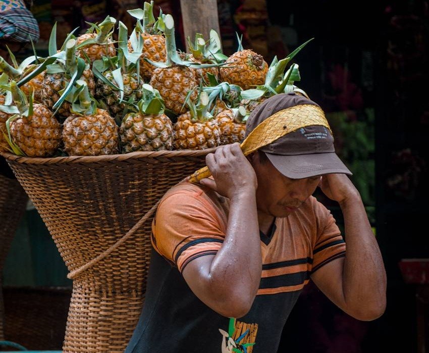 Meghalaya Pineapple