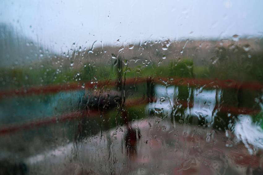 Monsoon Bacteria