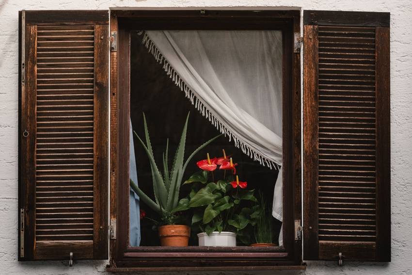 Natural Home Fragrance