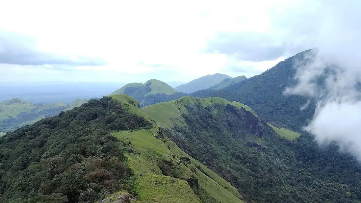 Nishani Motte