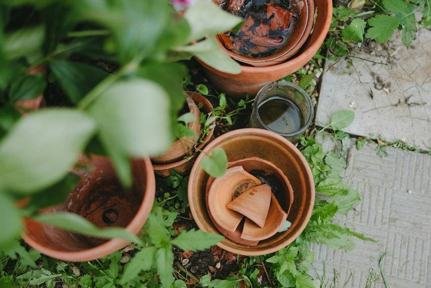 Not Sheltering Pots from Heavy Wind
