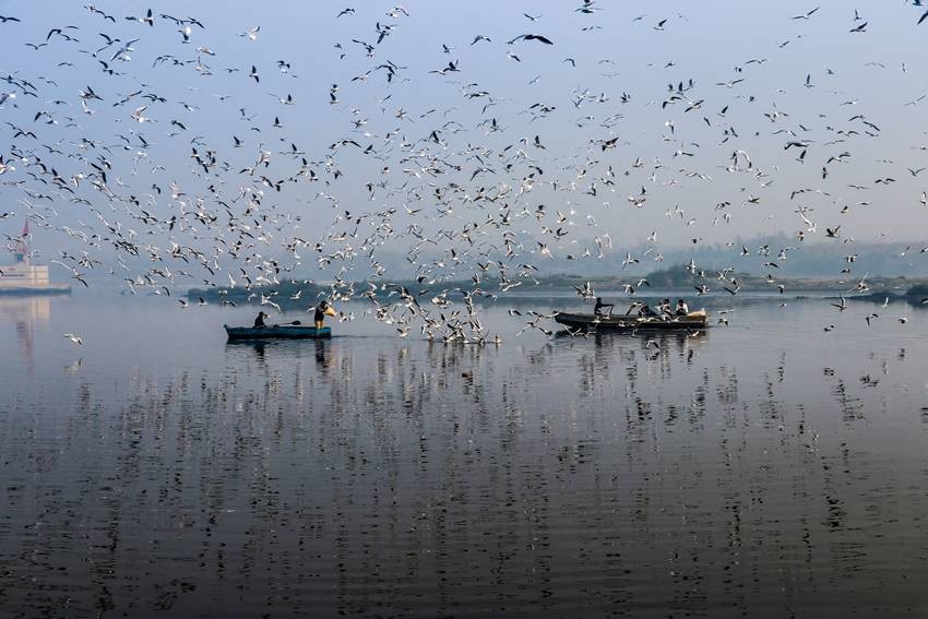 Okhla Bird Sanctuary